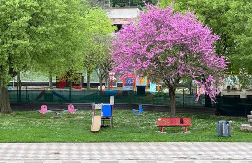 Casa Paradiso - Photo 17