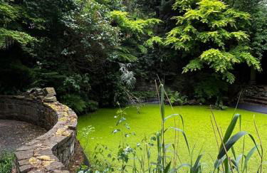 Villa Angela Neuer Rosengarten - Photo 20