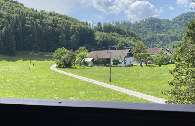 Hasenstall / Top 8 - Foto 30