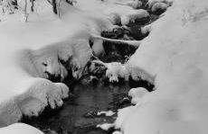 Bel appartement T2 refait à neuf avec piscine couverte de juin à fin septembre, près des stations de ski avec navette et draps et serviettes compris - Foto 19