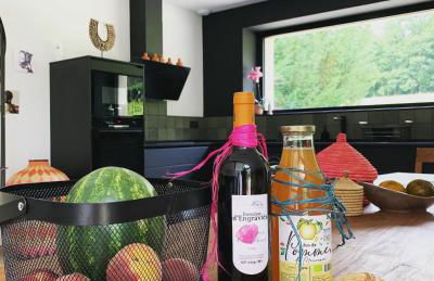 Le gîte d ici et d ailleurs Ariège Pyrénées - Foto 2