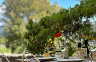 Bas de maison dans une oliveraie avec 2 suites parentales - Foto 43