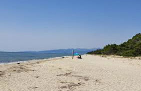 Le jardin de Domi - Foto 33