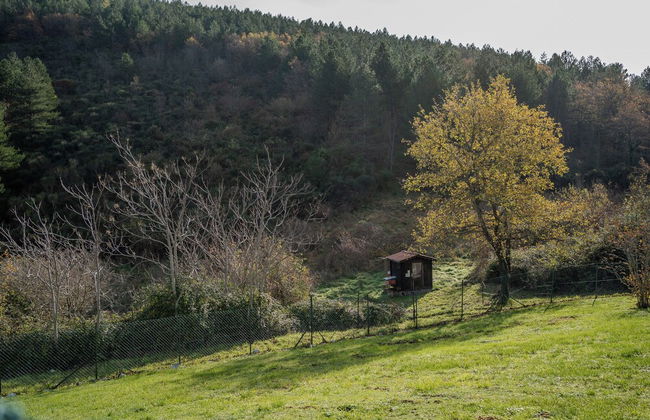 Il Capriccio del Papa - Photo 62