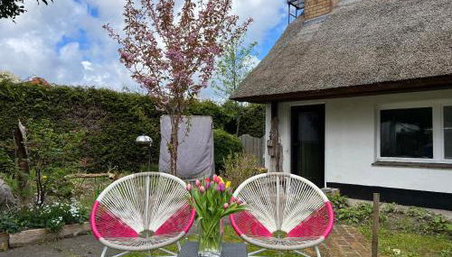 Tiny House Ostsee # Naturwerk - Foto 4, Garden