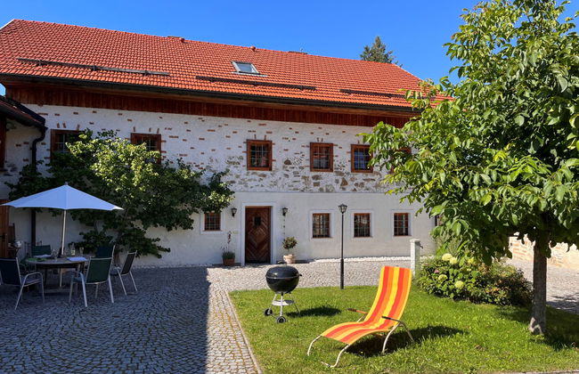 Lehner im Wald - Foto 19