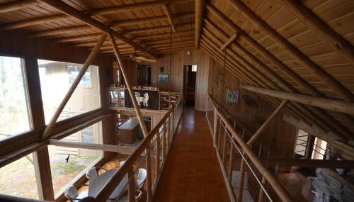 Wild Refuge Lodge - Foto 3