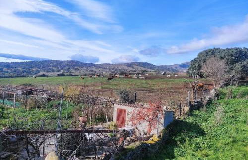 Disfrutando la zona - Photo 25