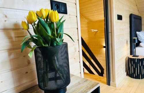 DOMKI Leśna Cisza jezioro Powidzkie dla 18 osób - 5D Apartments - Foto 44