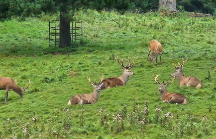 Folly View - Private, peaceful apartment with stunning views. - Foto 47