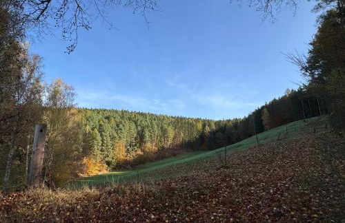Erholung im Wald - mit Schwimmbad - Foto 38
