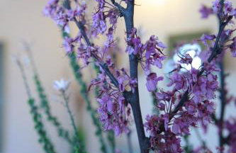 La Familia Luxury Private Maisonettes near the sea - Foto 15