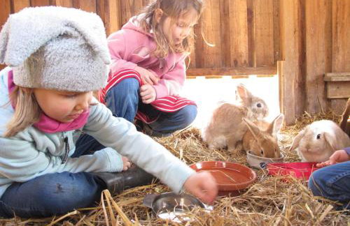 Hof Osterbunsbüll - Foto 12