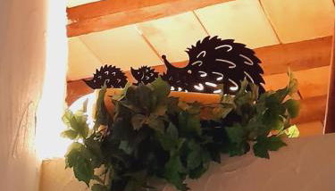 La Tana del Riccio - Foto 5