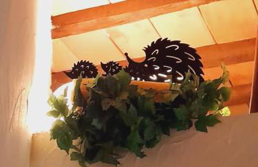 La Tana del Riccio - Foto 5