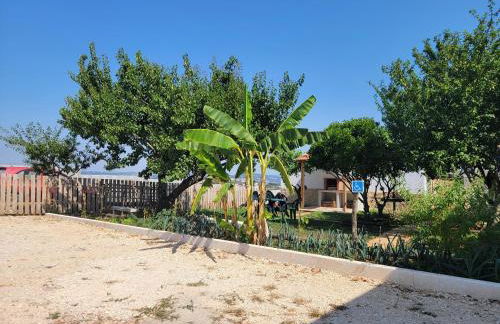 Adega dos Avós - Casa completa - Foto 34