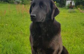 Jabłkowo-na skraju Puszczy Boreckiej ŚNIADANIA W CENIE - Foto 75