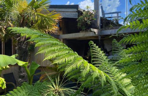 Jungle Cabin - Foto 45