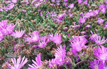 Apartamento en pleno Montseny Mas Romeu Turisme Rural - Foto 72