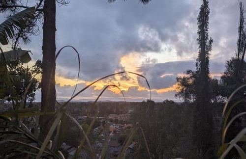 Farm house retreat on the hills near BART - Foto 8