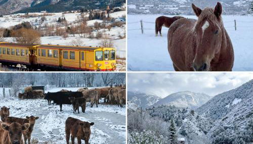 El racó de Montana Park - Foto 2