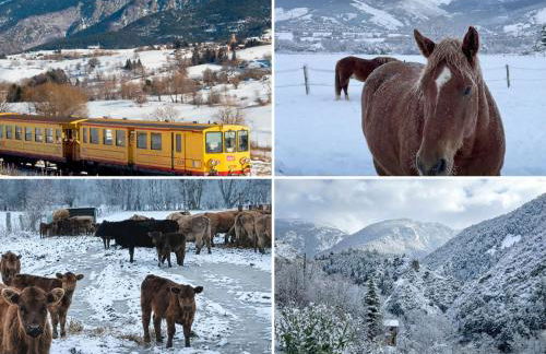 El racó de Montana Park - Foto 2