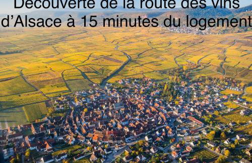 Studio tout confort, à 2 min de Colmar - Foto 15