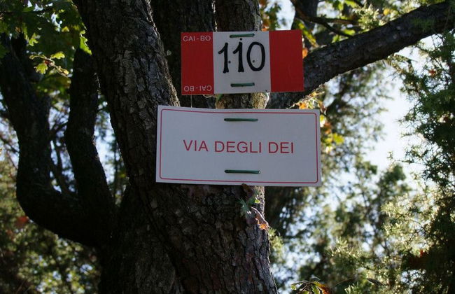 Agriturismo Piccola Raieda - Photo 32