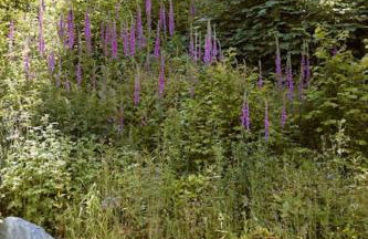 Ty Pandy Eclectic Luxury Family cottage Sleeps 8 adults and 2 children - Photo 26