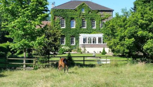 Landgut vor den Toren von Köln - Foto 2, Garden view