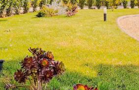 Holiday Home Croce with Spa - Foto 33