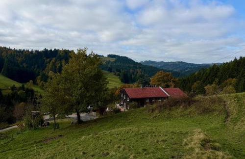 Alpe Sonnenruh - Photo 30