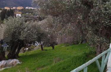 Andros Trecking Paradise Holiday Cottage by "elite" - Foto 29