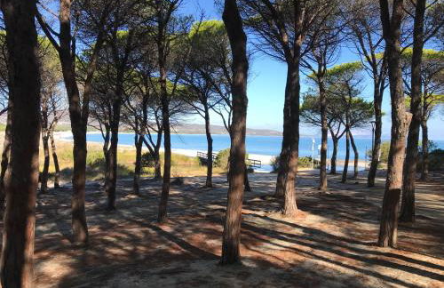 Frank's Home - Foto 20