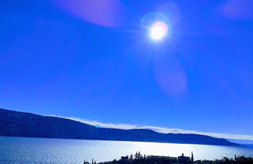 Agriturismo L'Uliveto - Foto 34