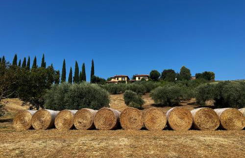 Country house Il Poggio - Foto 31