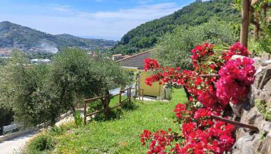 Le Drupe - Photo 3, Garden, Garden view