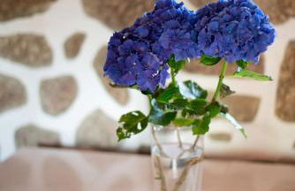 Quinta do Mirante - Foto 43