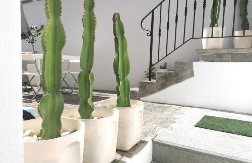 Apartamento * Estudio Orobanca - Foto 12