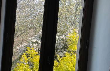 Las Vignes - Où le calm apaise l'âme - Foto 14