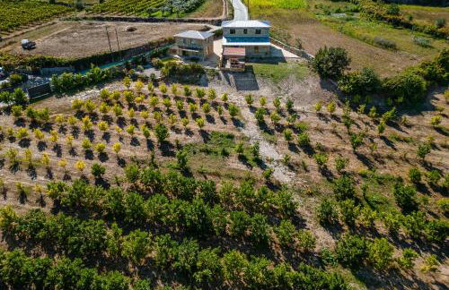Lemon Villa with Private Indoor Heated Pool - Oporto Lemon Farm, near Porto - Foto 65
