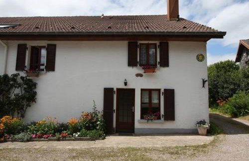 Gîte spacieux et confortable au Val d'Ajol, à proximité de Plombières-les-Bains, animaux de ferme ! - FR-1-589-139 - Foto 6