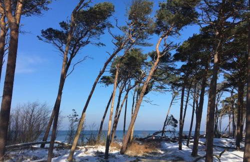 Rosenhaus Nähe Bodden und Ostsee an den Kranichfeldern - Foto 32