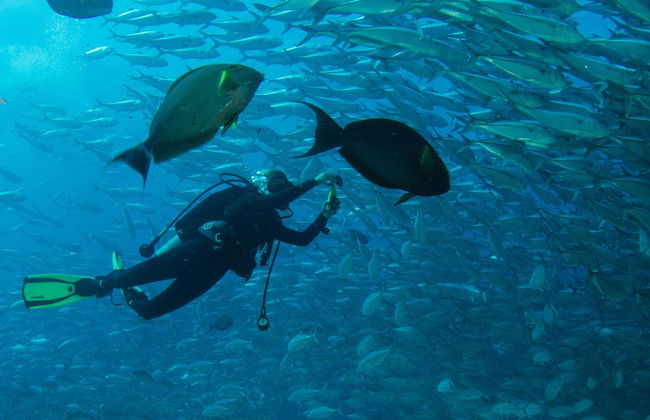 Baptême de plongée à Las Negras - Photo 1
