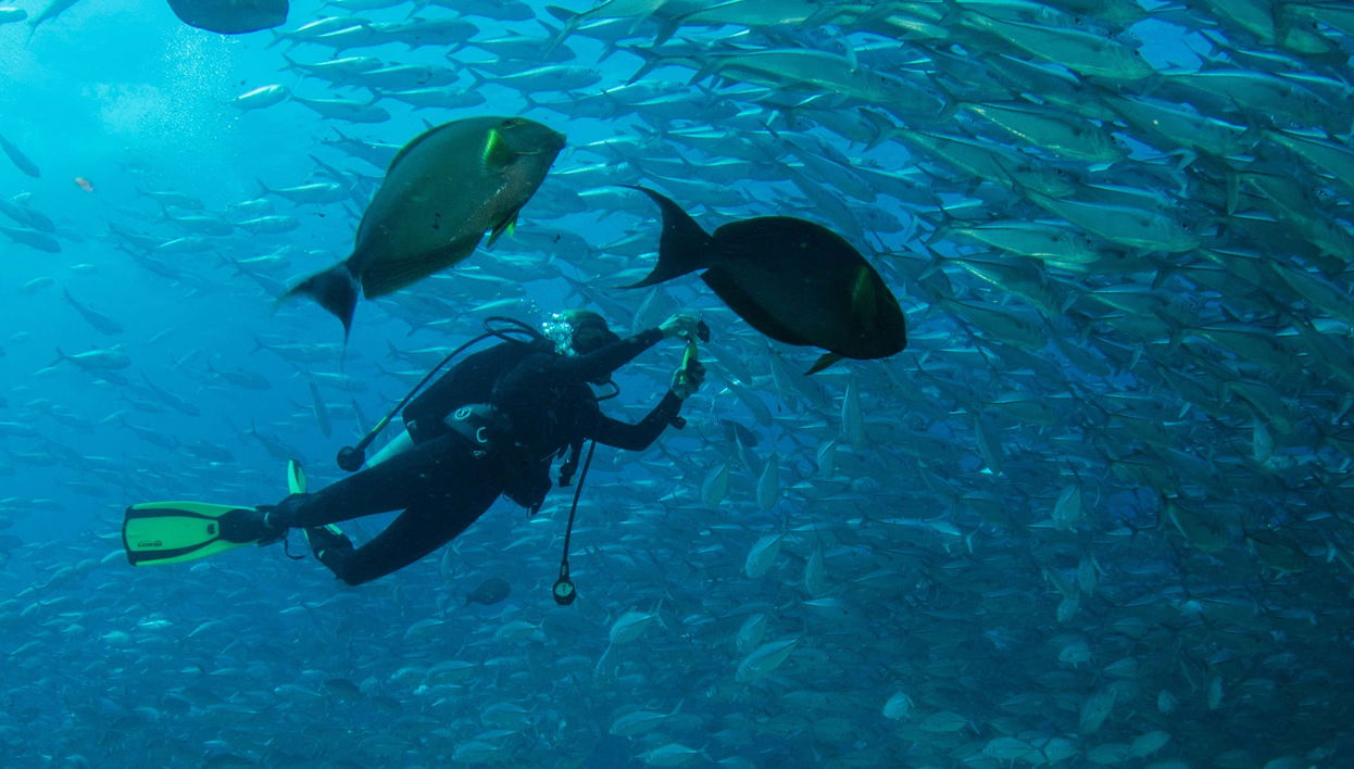Batismo de mergulho em Las Negras