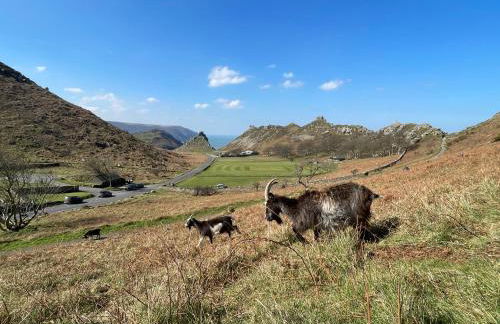 The Old Sweet Shop - Photo 42