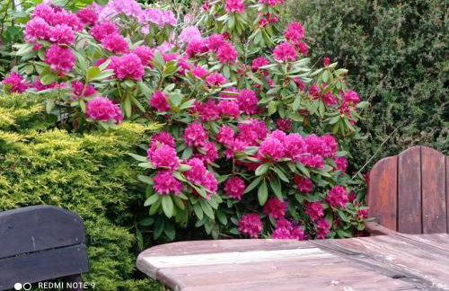 Agroturystyka Ziemowit Karkonosze - Foto 13