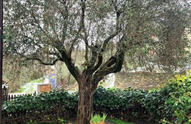 El Pajar de la Plaza - Foto 6