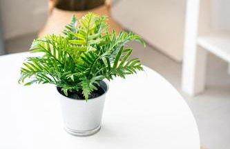 Le Cool'Nest - Proche Disney et Val d'Europe 10mn - Foto 19