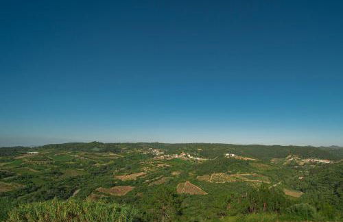 Casas da Tia Alice - Casas de campo encantadoras em Mafra - Foto 25